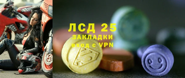 трава Беломорск