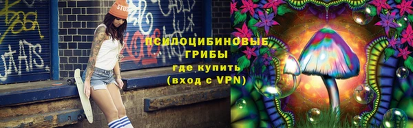 трава Беломорск
