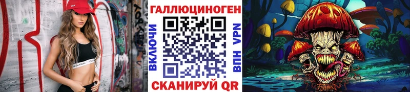 мориарти телеграм  Дрезна  Псилоцибиновые грибы GOLDEN TEACHER 